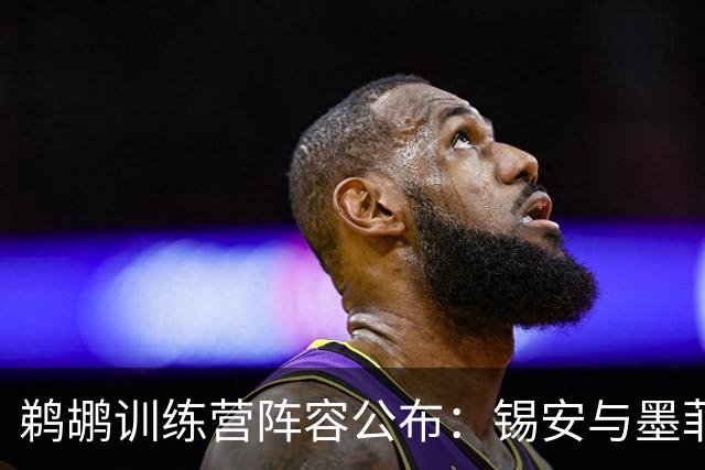 鹈鹕训练营阵容公布：锡安与墨菲为核心，马瑟林、小乔丹名列其中